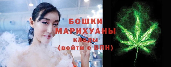 твердый Иннополис