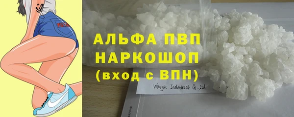 твердый Иннополис