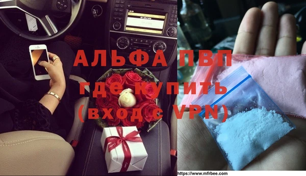 твердый Иннополис