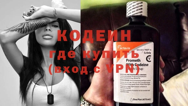 твердый Иннополис