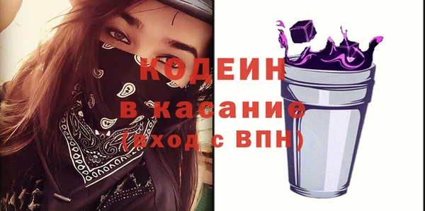 твердый Иннополис