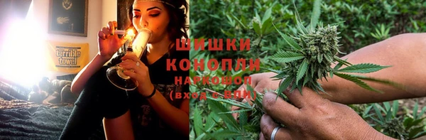 твердый Иннополис