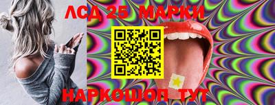 шишки Дубна