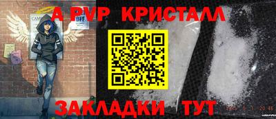 стаф Донской