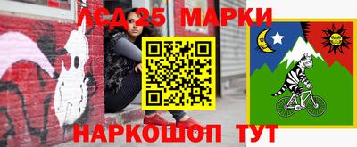 стаф Донской