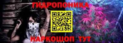 шишки Дубна