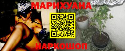 шишки Дубна