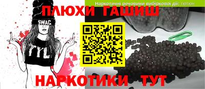 шишки Дубна