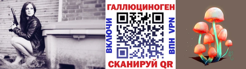 Псилоцибиновые грибы Psilocybine cubensis  Заволжье 