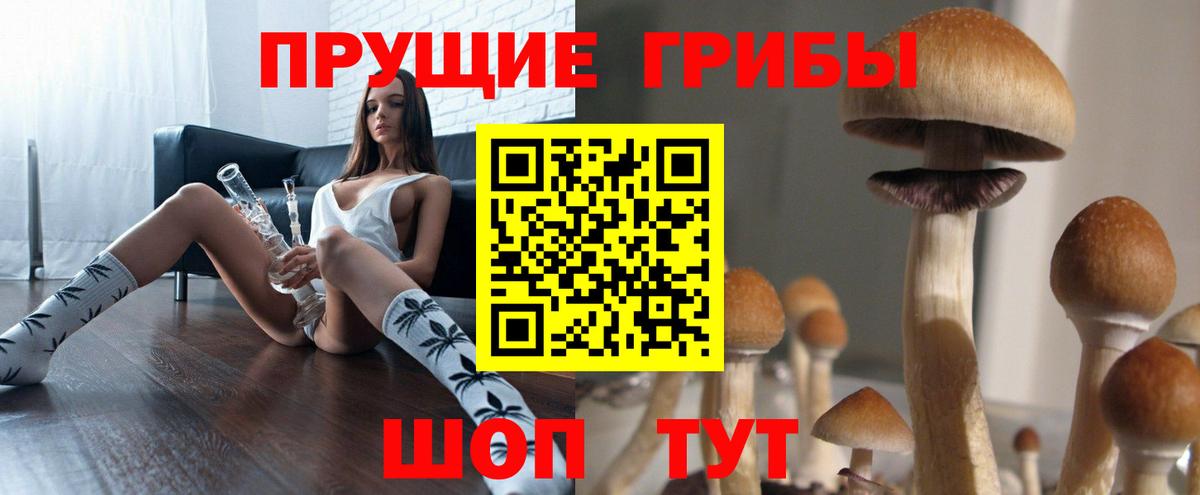 Псилоцибиновые грибы Cubensis  Вход с VPN  Заволжье  Псилоцибиновые грибы Magic Shrooms 